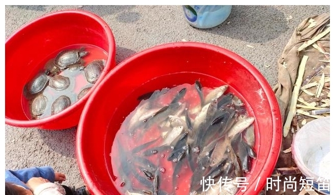 香酥|无论煎什么鱼，不要直接倒油煎，多加一步，鱼皮不掉更香酥