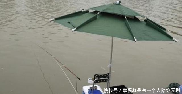 确认过眼神,草鱼只需按我说的钓,天气再冷也照样狂拔,莫忽视