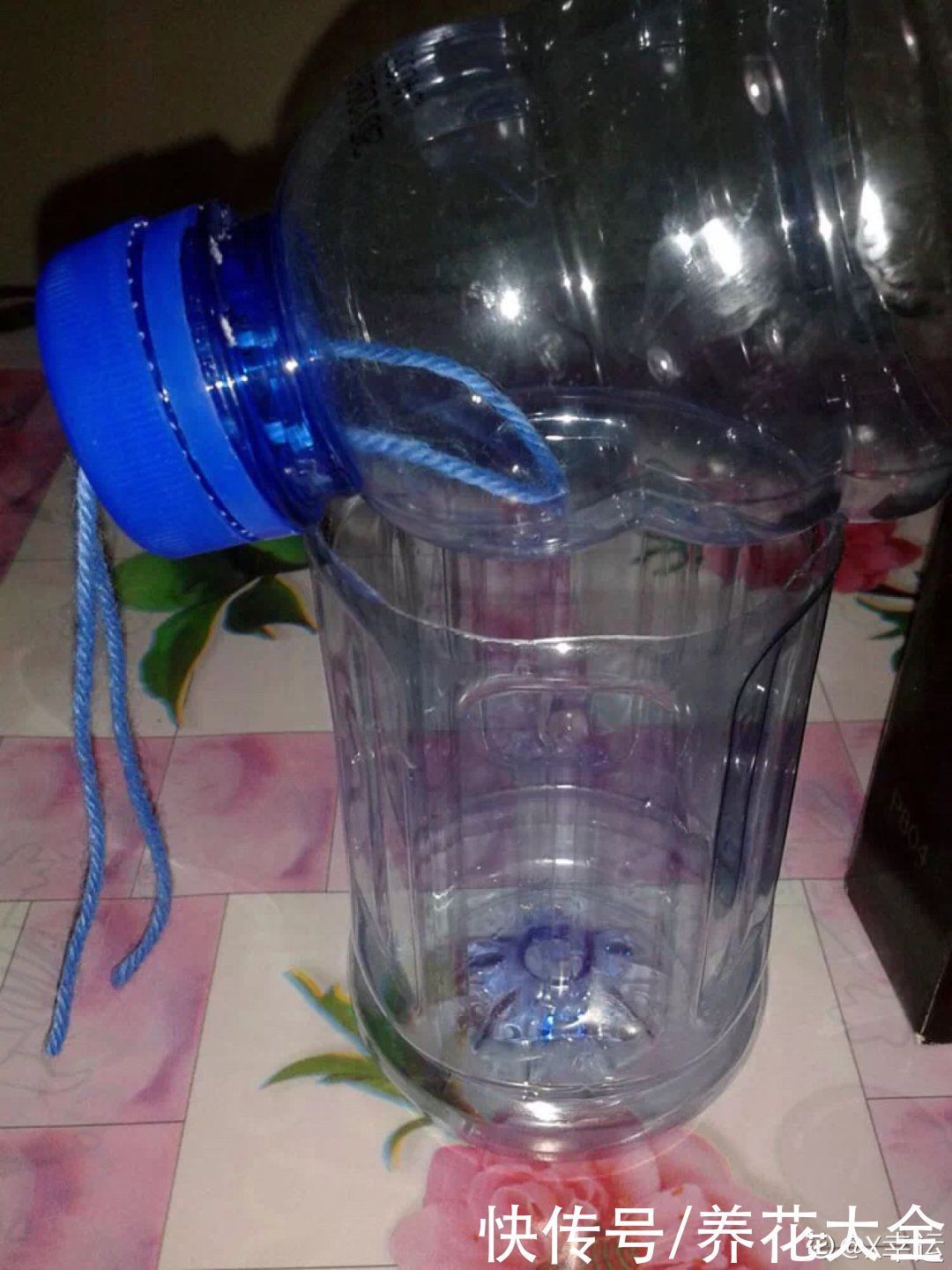 旧筷子、老干妈瓶别扔，拿来养花效果好，省下一笔养花钱