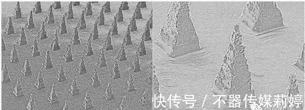 分子量|硬核干货！怎么去眼纹最有效？黑科技造就高“眼”值！