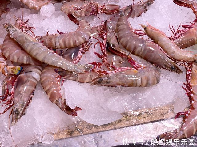 菜市场碰到这5种虾我从不放过,价格不贵营养足,目前无法养殖