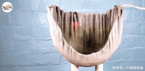 鱼池|这个人挺聪明,用轮胎和桌布改造成精美鱼池,为啥我就想不到!