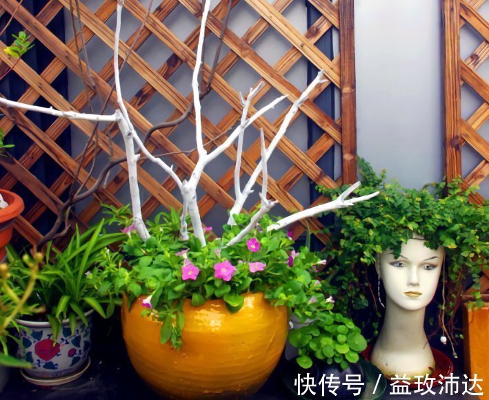 这些“花盆”真漂亮,创意十足还不花钱,“破烂”可别再扔了