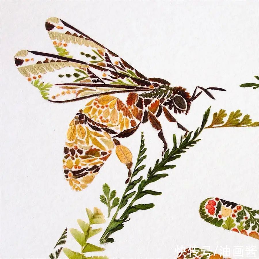 植物$她画画的材料是花瓣,工具是把刀,直接用刀刻出画