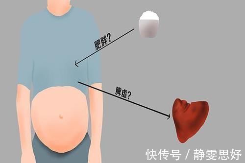 小米粥|脾乃气血生化之源，脾虚则百病侵扰，哪些食物能健脾？
