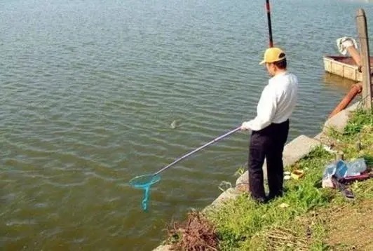 冬钓鲫鱼,两个“黄金时辰”出门,下钓渔获必翻番