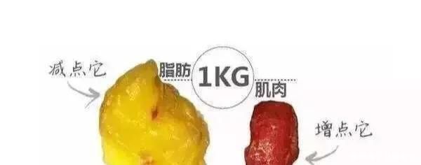 体脂率|跑步解决不了腹肌,2个核心训练有傲人的马甲线条