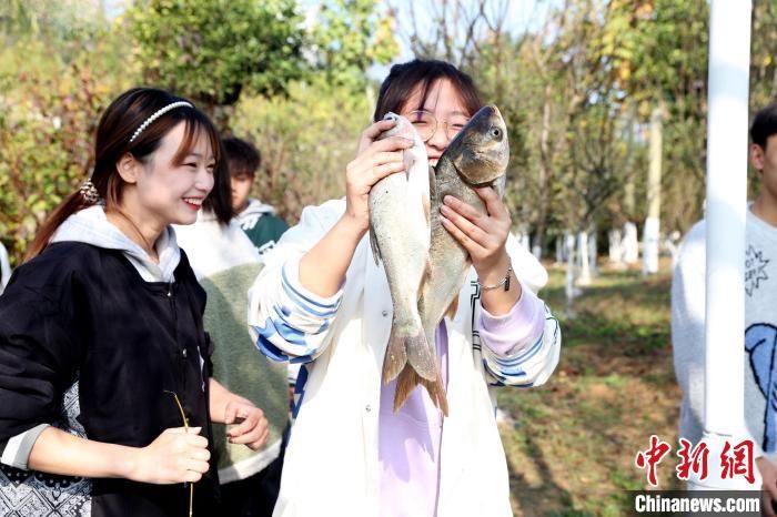 鱼儿|湖北一职院湖塘拉网捕鱼 师生免费吃