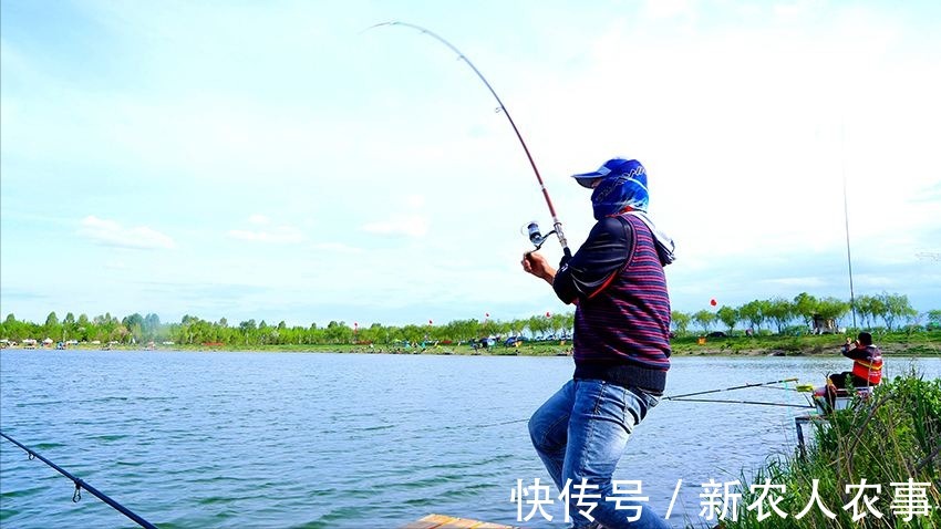 广东一男子野钓收获翘嘴鱼，接下来一番神操作，颠覆了众人的认知