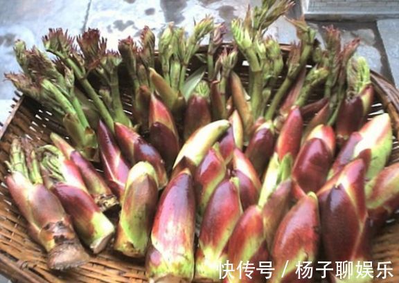 野菜|乡下大山此野菜，人称“天下第一山珍”食用价值高，营养很丰富