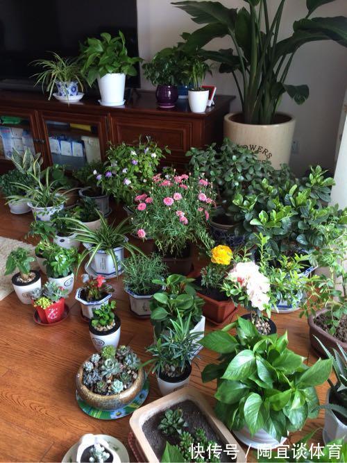 墙壁式|媳妇装新房,卫生间砌“半墙”,阳台成“绿森林”,被邻居赞爆了