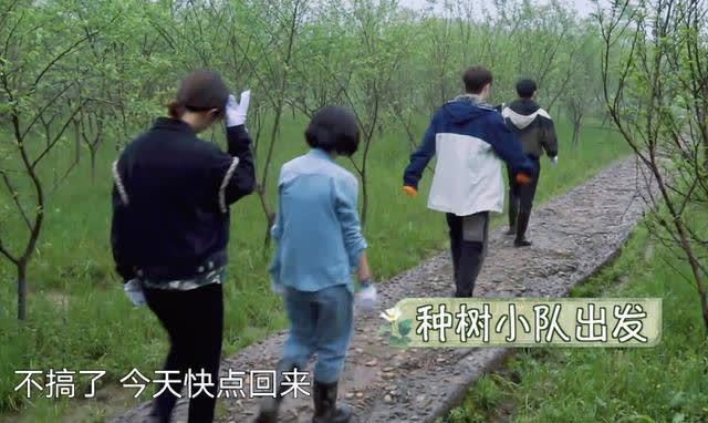 三个人|《向往5》变成了“享受生活”,三个人栽一棵树,只因为一只鸡