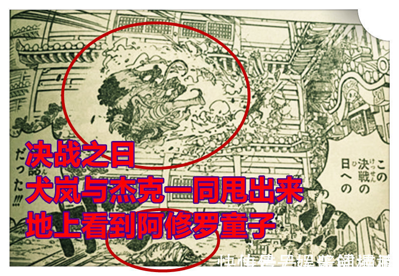 半獸人|海賊王1023話,開掛的犬嵐VS杰克半獸人形態,杰克被狠揍并流冷汗