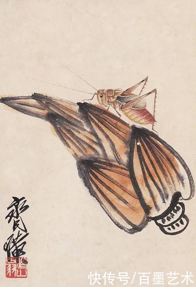 蝴蝶|齐白石草虫图200张,他把草虫画活了