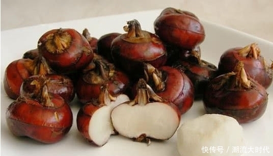 野果|长在泥巴里的野果，却有极高的抗肿瘤作用