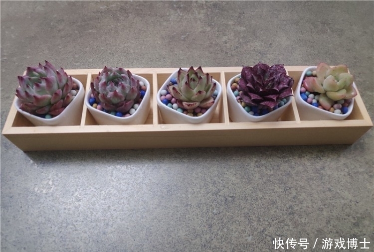 一肉一世界,一方一净土