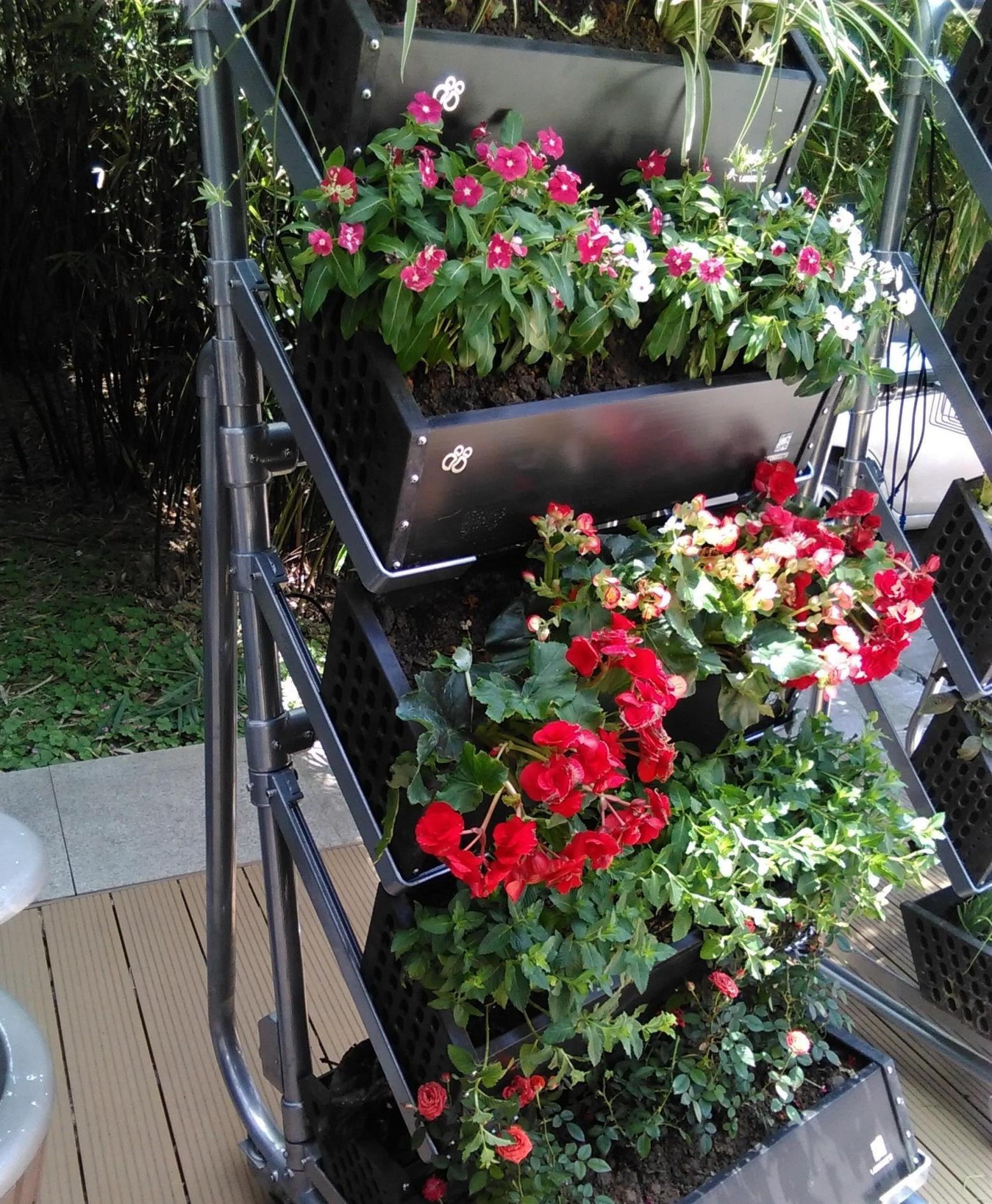 养花没院子有阳台,教你3招,打造花的海洋