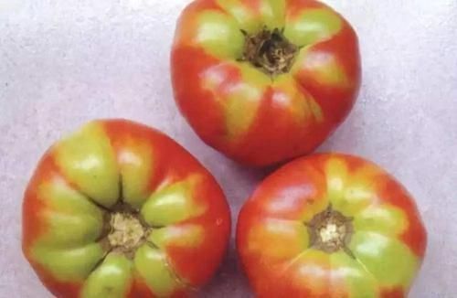 中年人养生先忌口,尽量少吃以下蔬菜和水果,身体会感谢你