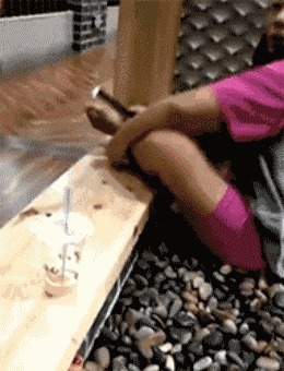 |搞笑GIF:看这熟练的程度 她们肯定不是第一次了