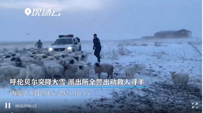 暴风雪|草原英雄“兄弟连”！为了3名牧民和300多只羊，暴风雪中，他们全警出动