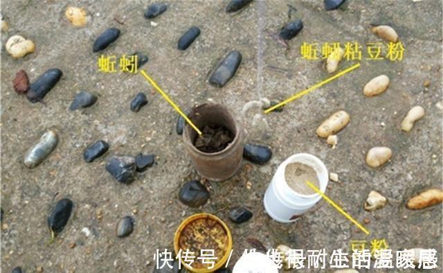 野钓秘方：秋天用蚯蚓钓鲫鱼，最好增加2个步骤，咬钩量提升10倍