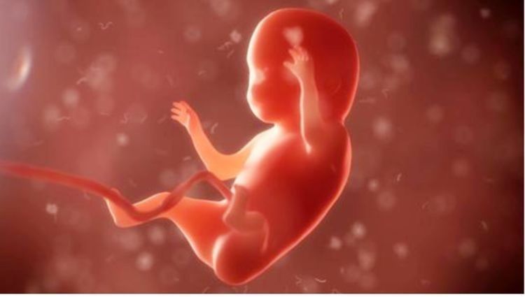 妈妈|在孕期,胎动频繁的宝宝是不是性格很调皮?性格娘胎里就已经定了