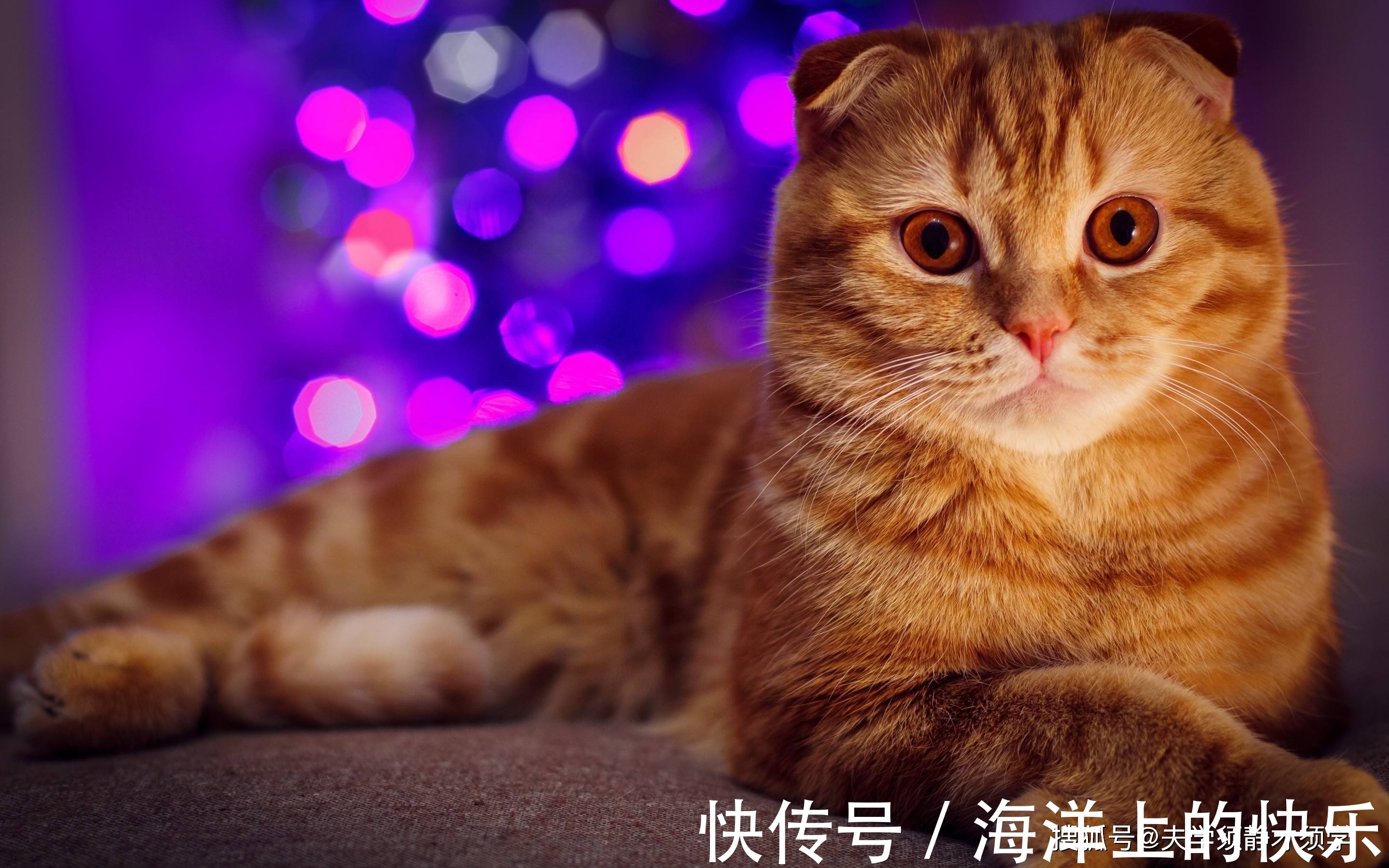 |幽默笑话:老公给我写了第一封情书,再拿出来看看,却觉得好笑!