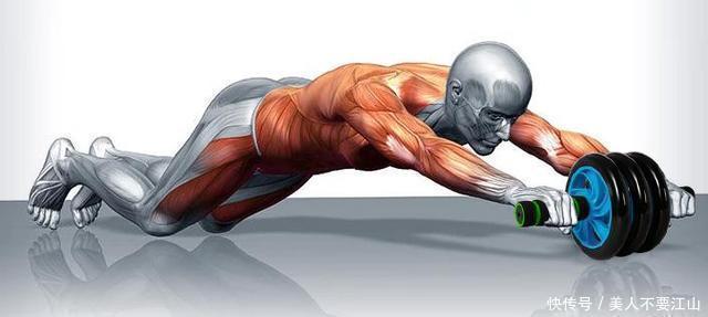 腹肌|一个健腹轮等于半个健身房,提高核心,但想用好是有诀窍的