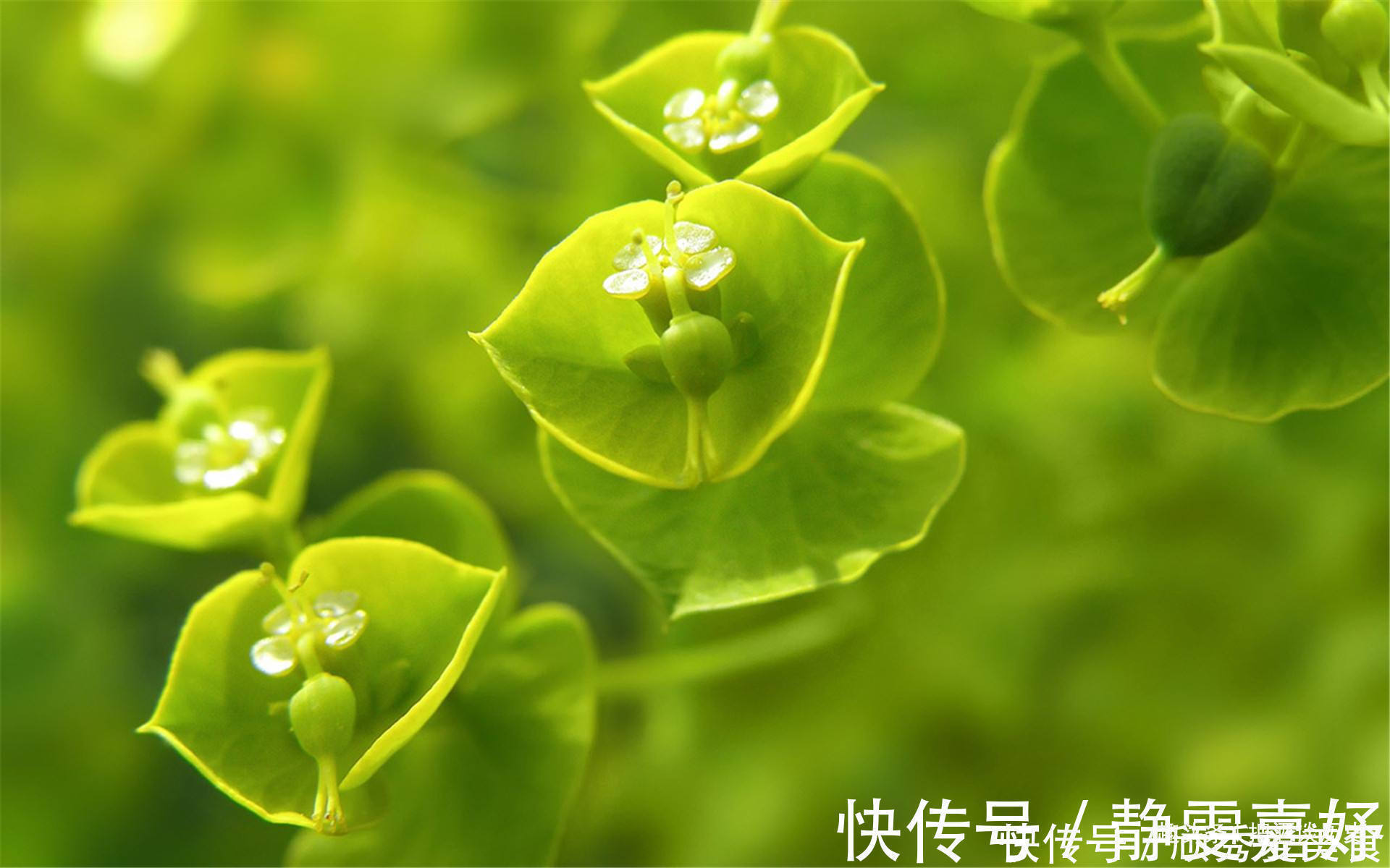 老实人&人有再大的本事,这四句话也别随意说,避免祸从口出