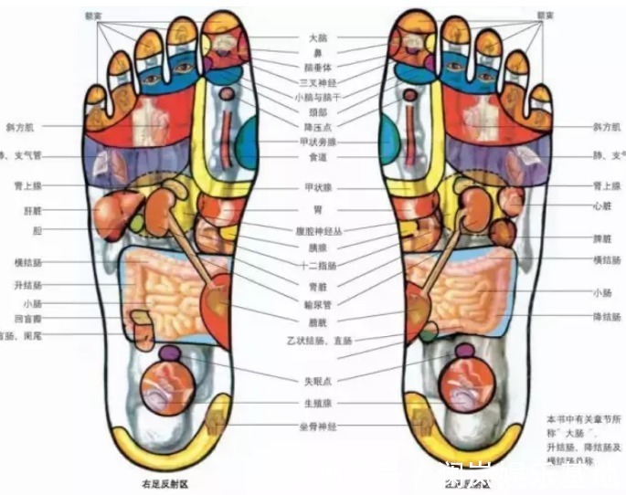 妇科病|女人踩踩自己的脚，不容易得妇科病，为什么？