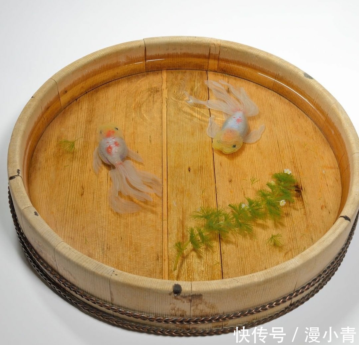 绘画@画师用特殊手法画出堪比三次元的金鱼,不告诉你真相,你能发现吗
