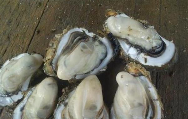 生蚝和海蛎长得很像,到底有什么区别海鲜达人一句话说出答案