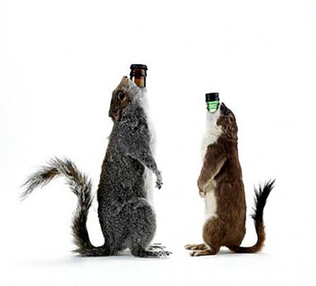 酒精度|苏格兰布鲁德酒厂:用动物的尸体做包装,啤酒卖765美元一瓶