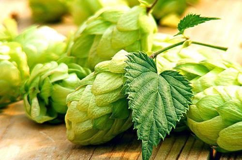  养颜|聪明的人都在吃3种食物，排毒养颜、延缓衰老，好吃又健康！