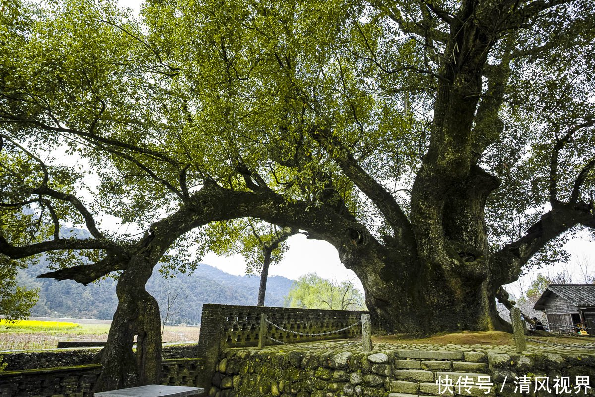 婺源赋春，游走在中国进士第一村，感受“进士之患”