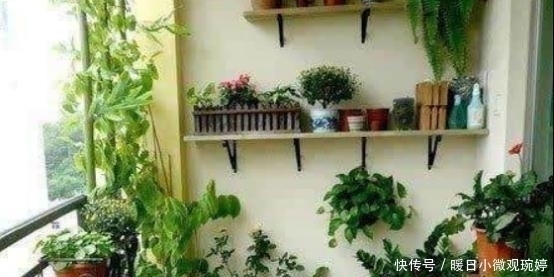 头一次见阳台上面还能这样养花,几平米空间变花园,太聪明了