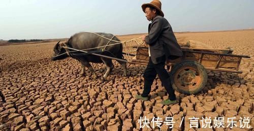 排水|养花不死,全靠盆土,用这个土养花,能活几十年