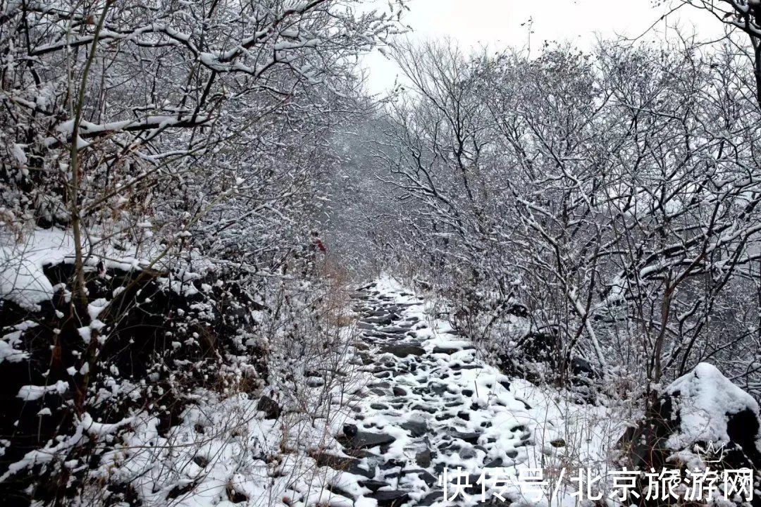 第一场雪|门城一夜雪，万山披银装！