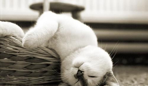 生日|生日尾数是几的孩子,一生注定不平凡,出人头地,父母少操心