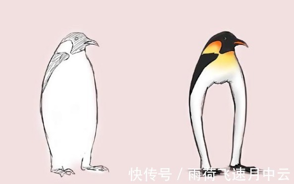 山羊|画到一半画不下去灵魂画手索性放飞自我,萌萌啄木鸟变兄贵