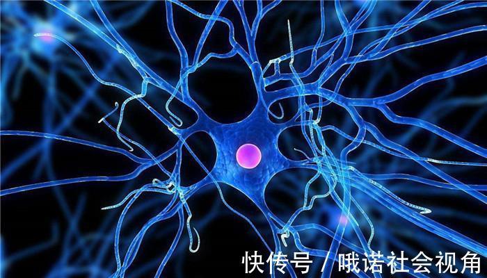 心血管疾病|105岁老人，大脑年龄才50岁，全靠这3个“好习惯”，做到一个也好