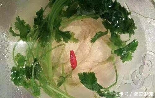 一大|入冬后,每天一杯香菜煮水,会让你收获一大好处,大家来了解下