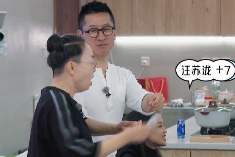 张翰|《桃花坞》坞长选举没人选张翰，都选汪苏泷，为什么？