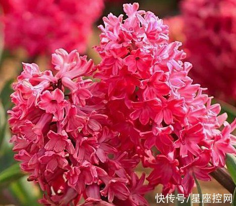 农历|谁的生日是农历此3个月,福气大,贵人多,总能逢凶化吉笑到最后