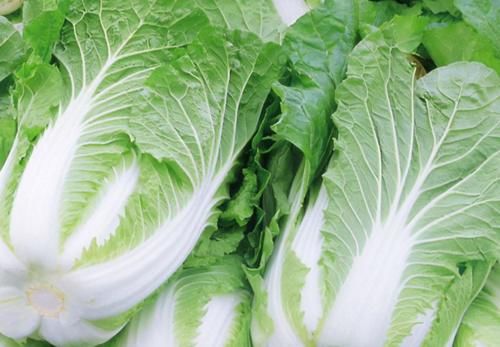 补充营养|女性50对后想长寿全靠吃，3种食物不错过，补充营养，有益健康