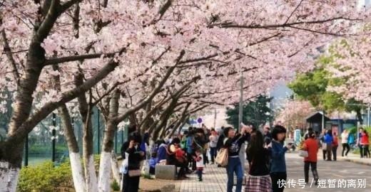 功能|10个趣味冷知识!手有哪些奇妙的功能呢不解释,你懂的!