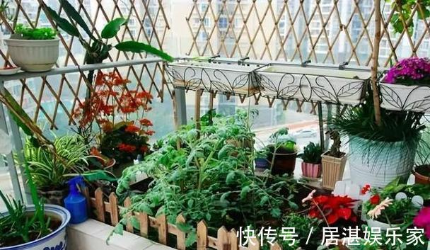 腐叶土|养花缺不了营养土不想要花钱买,就添加上它们,比买的还好