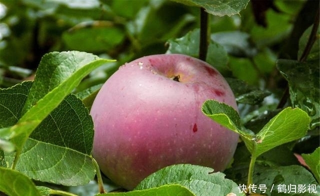 奔四的女人,如何摆脱黄脸婆?戒一事,忌二物,做三勤,吃四果