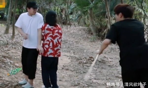 向往的生活|汪苏泷不小心打到张子枫，谁注意彭昱畅的第一反应比言情小说还甜