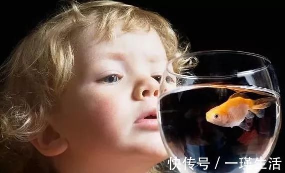 美国儿科学会|美国儿科学会:智商超常的孩子一般有3个“坏习惯”,父母别纠正